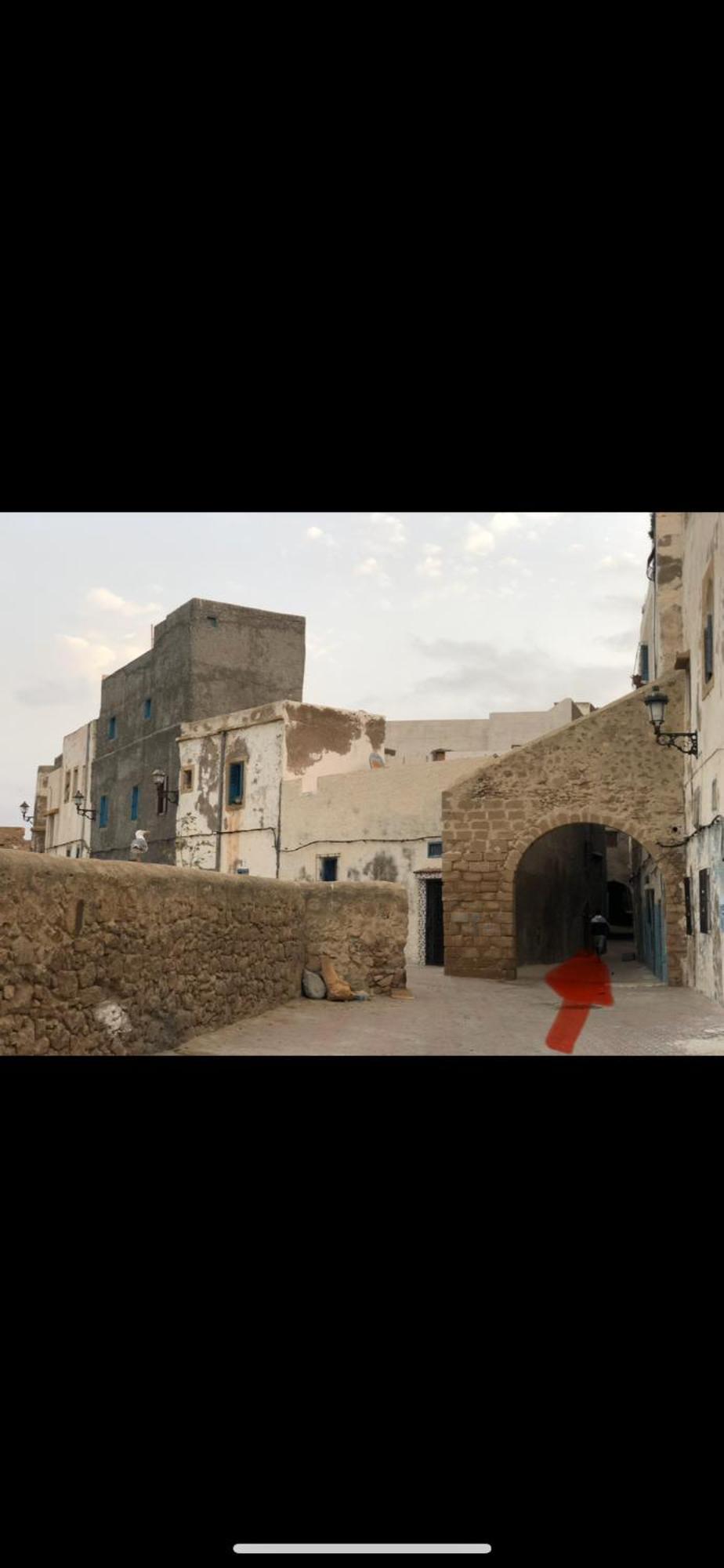 Dar Dada La Totalite Du Riad A Votre Disposition Et De Facon Exclusive Safí Exterior foto